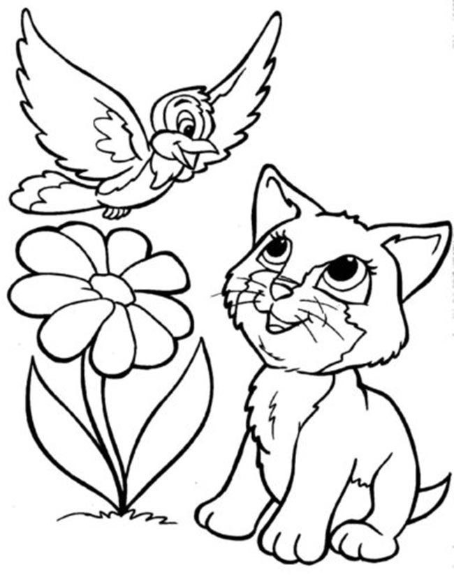 com flor e gato