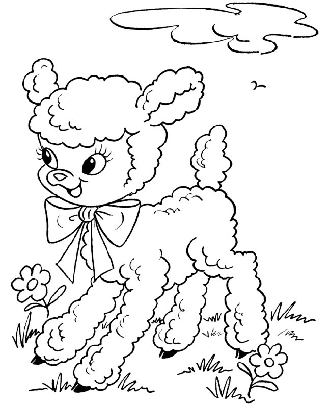 desenhos de cordeiro para colorir