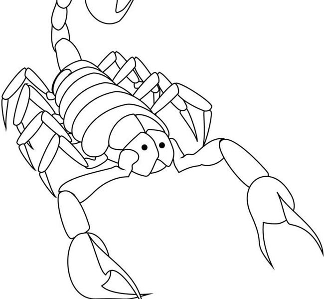 55+ Desenhos de Escorpião para Imprimir e Colorir/Pintar