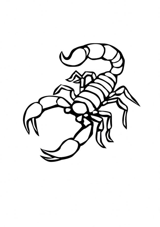 desenhos de escorpiões para colorir