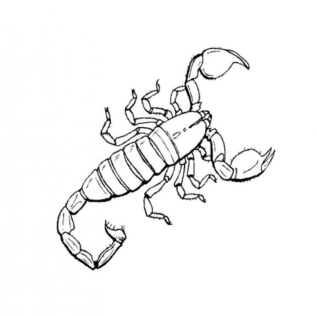 55+ Desenhos de Escorpião para Imprimir e Colorir/Pintar