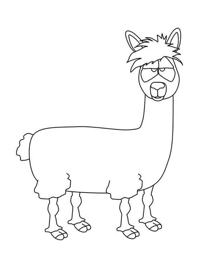Lhamas para pintar