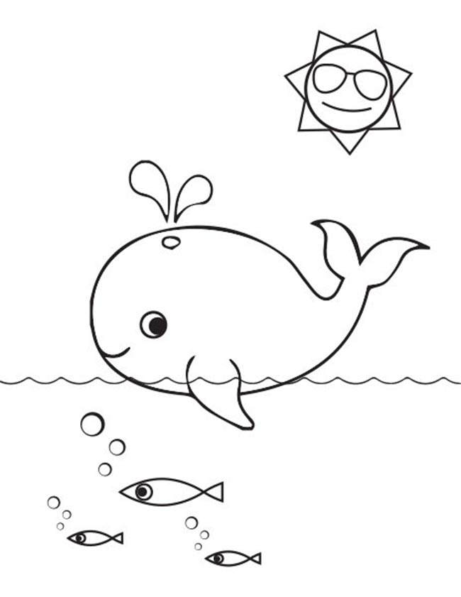baleia na agua baleia na agua
