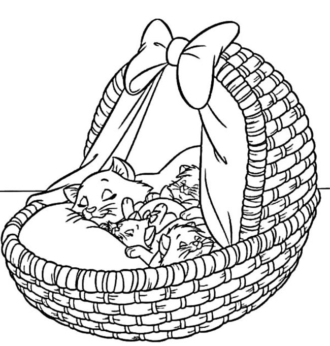 cesta com gatos 3 cesta com gatos 3
