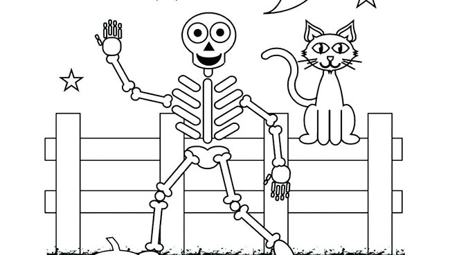 com gato com gato