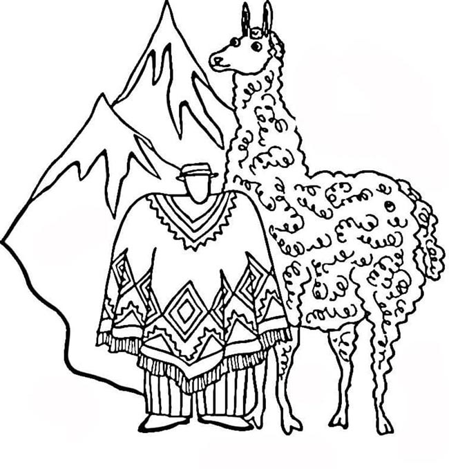 Desenhos de Lhamas para colorir
