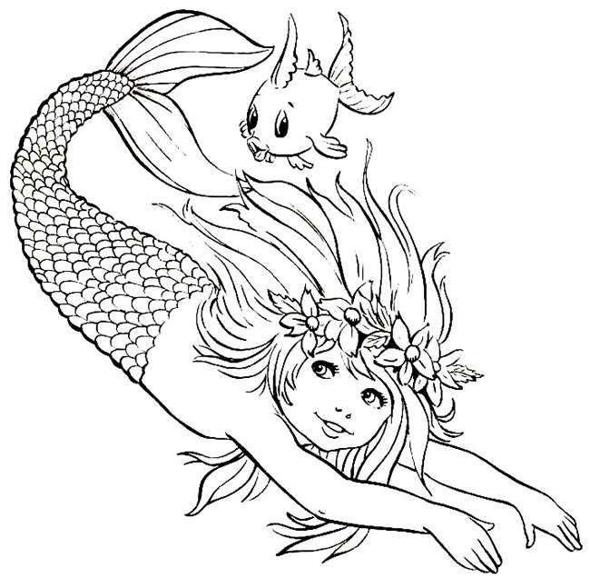 com peixe 3