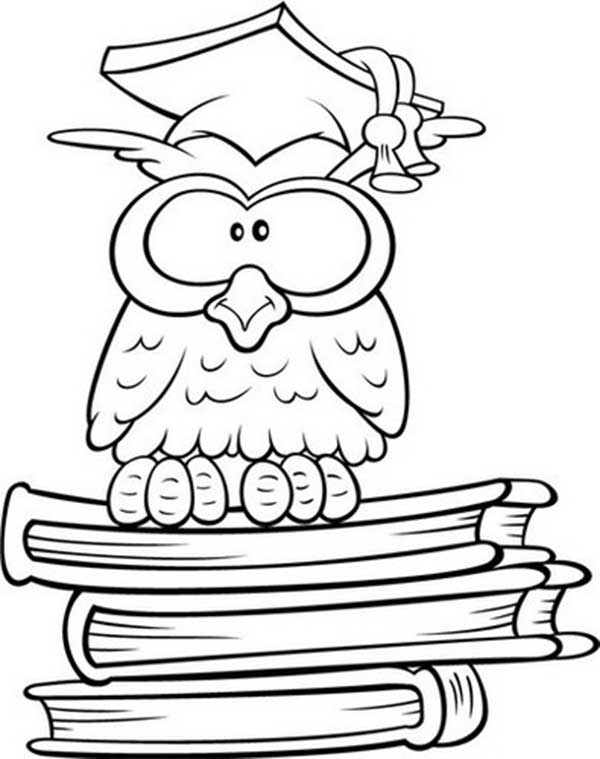 coruja com livros coruja com livros