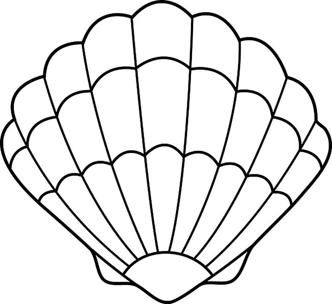 desenho de concha conchas para pintar