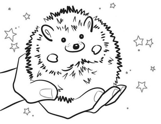 desenhos de porco espinho para impressão