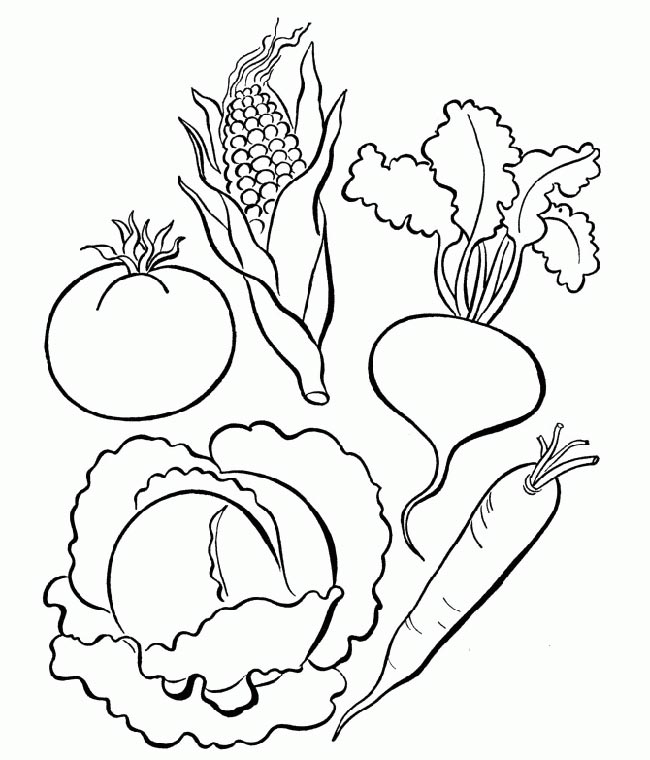 desenhos de comidas
