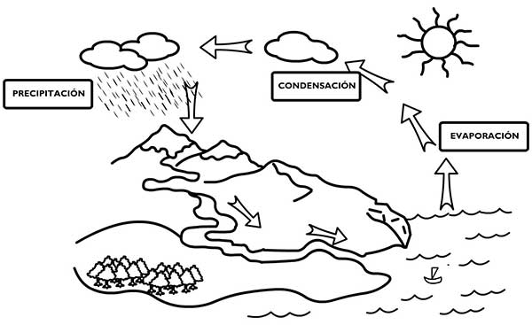 desenhos do ciclo da agua para pintar 1