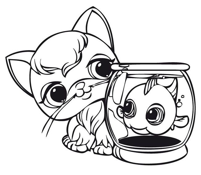gato com