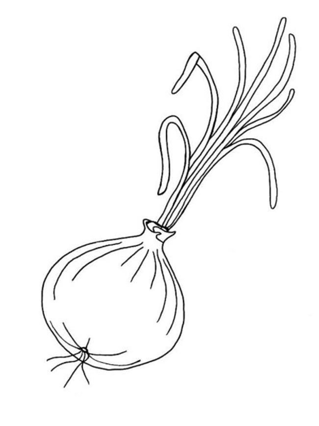 legumes para pintar 1