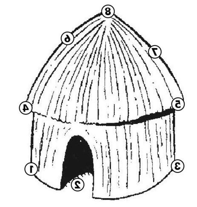 55+ Desenhos de Ocas para Imprimir e Colorir/Pintar