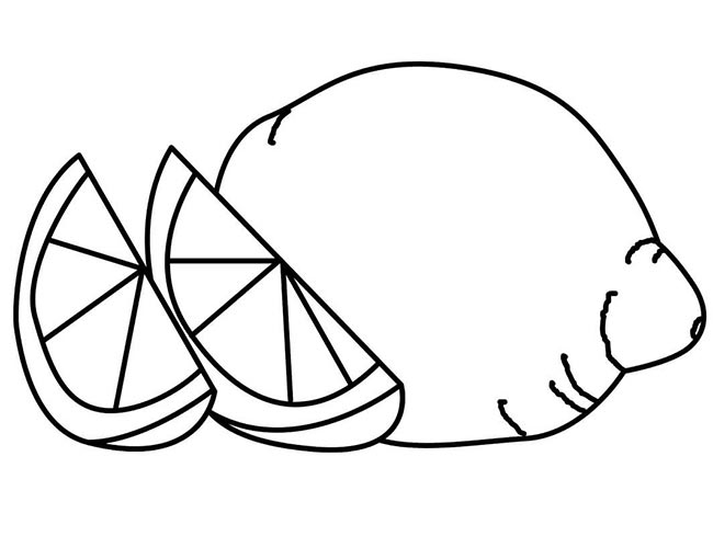 desenhos de limão para pintar