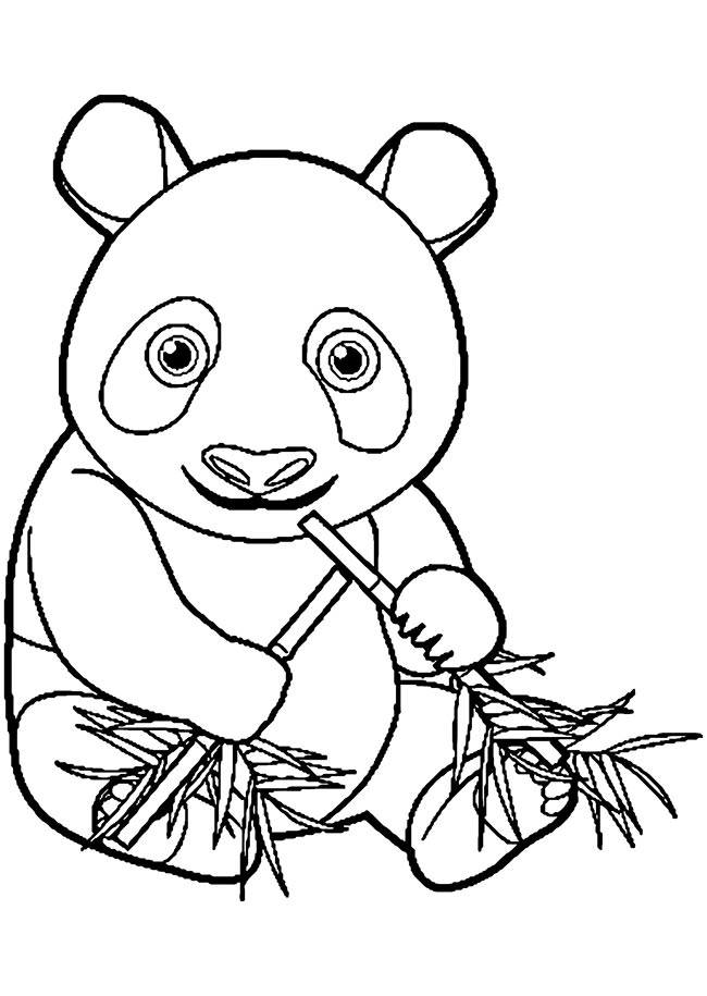 desenhos de animais da floresta
