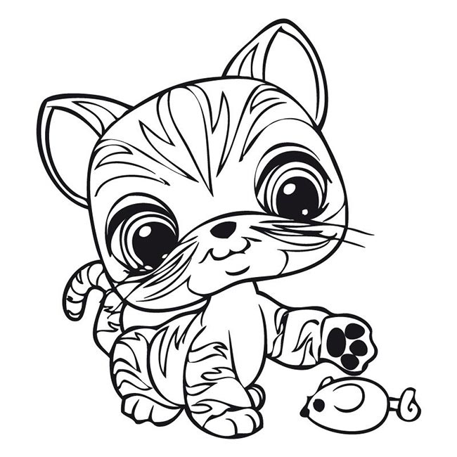 tigre para colorir