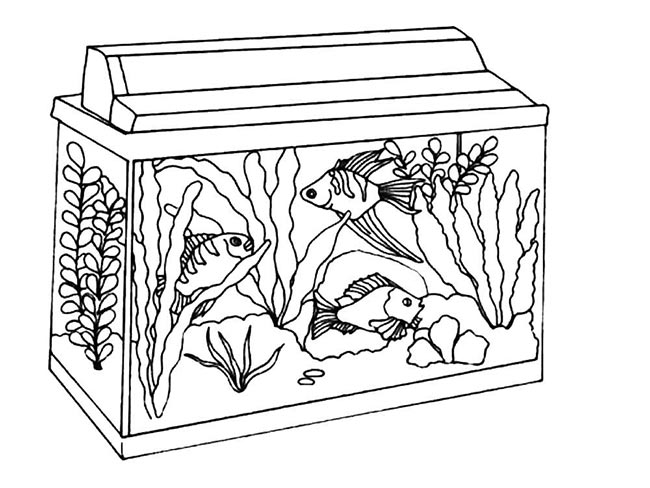 25+ Desenhos de Aquários para Imprimir e Colorir/Pintar