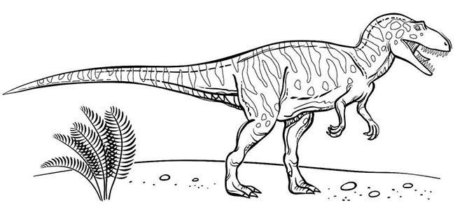 atividades sobre dinossauros 3 Atividades de Velociraptor