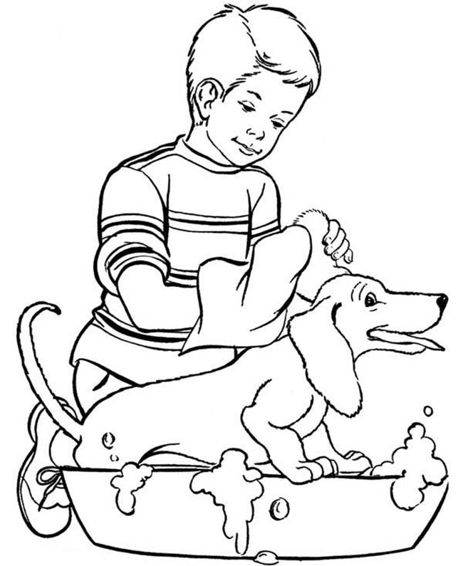 cachorro tomando banho 3
