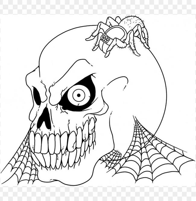 caveira com aranha caveira com aranha