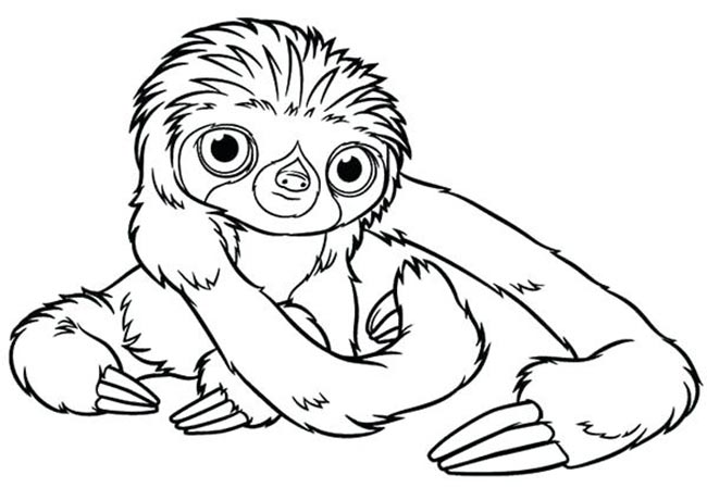 com unhas grandes desenhos de animais