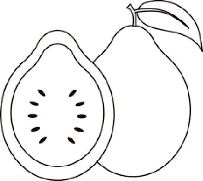 cortada desenhos de frutos