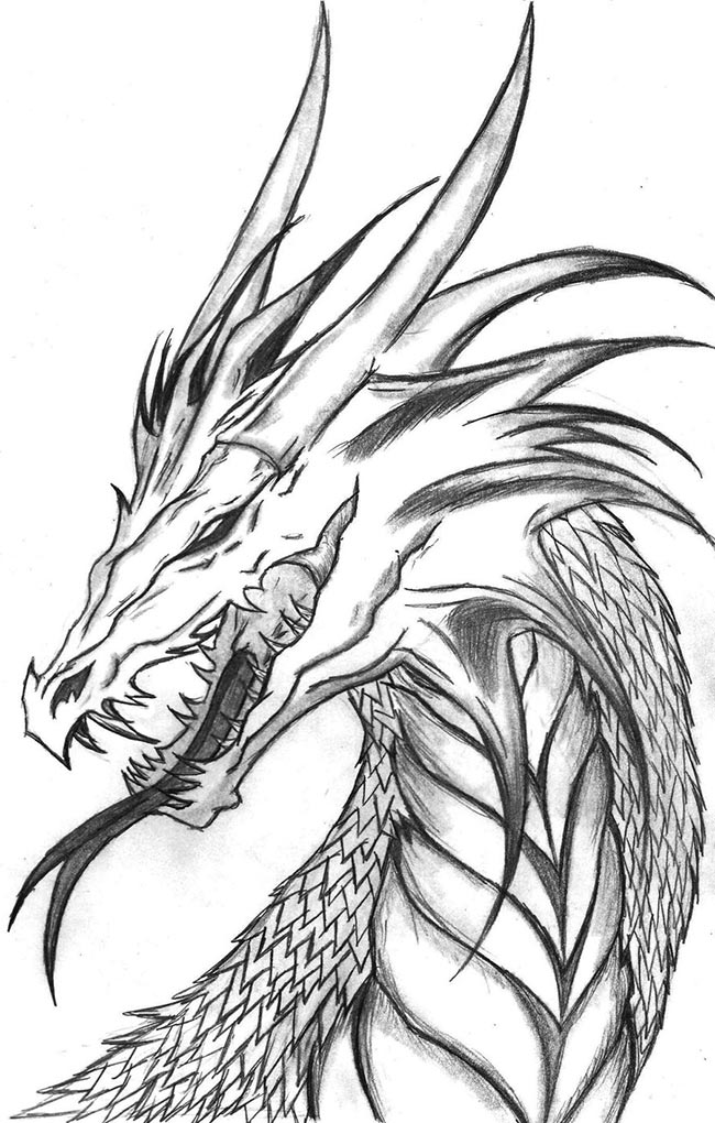 150+ Desenhos de Dragões para Imprimir e Colorir/Pintar