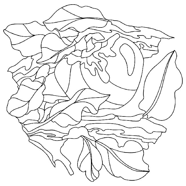 desenho de salada 2 comida saudável