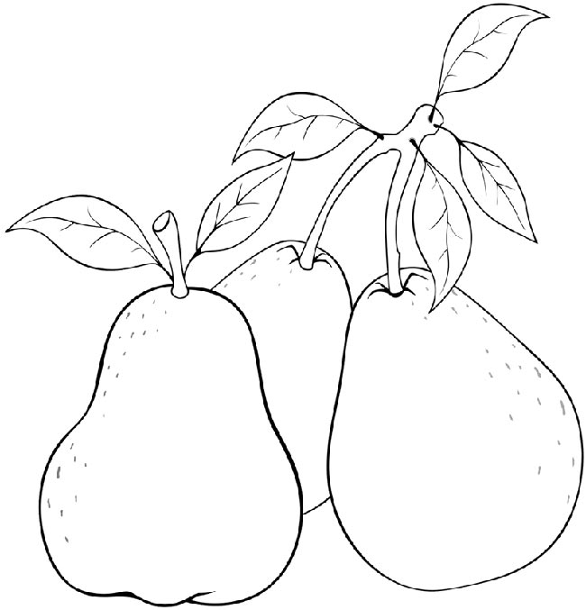 desenhos de Goiaba para crianças