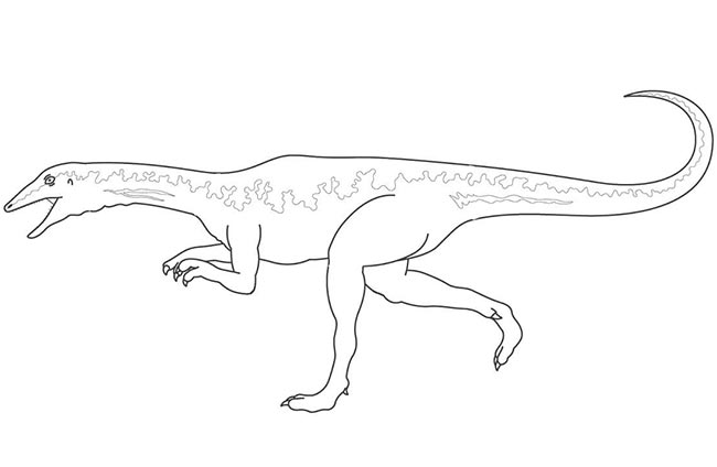 desenhos de Velociraptor 1 3 os maiores