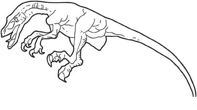 desenhos de Velociraptor para colorir 1 3 Desenhos de Velociraptor para imprimir