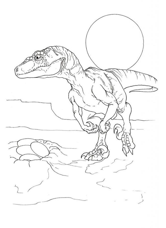 dino com ovos 3 atividade de dinossauro