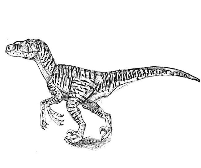 dinossauros para colorir 1 3 molde para pintar