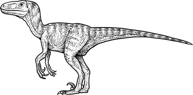 dinossauros para colorir 3 molde para baixar