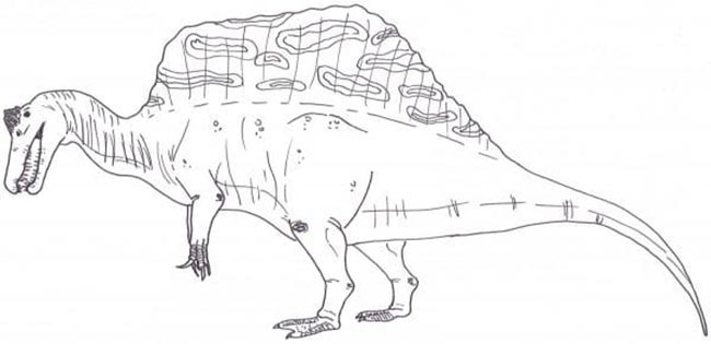 atividade sobre dinossauro