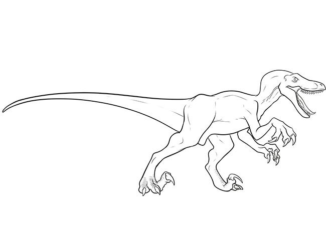 dinossauros para colorir