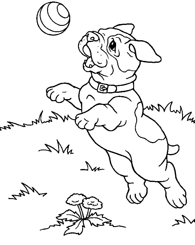 Desenhos de Pitbull