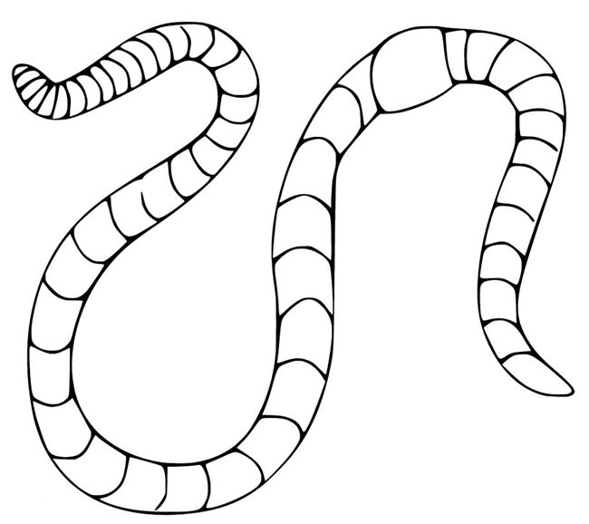 minhoquinhas para colorir 1