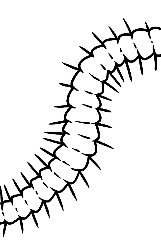 molde de insetro 3 para download