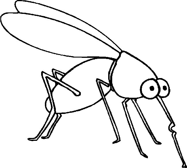 molde de mosquito 3
