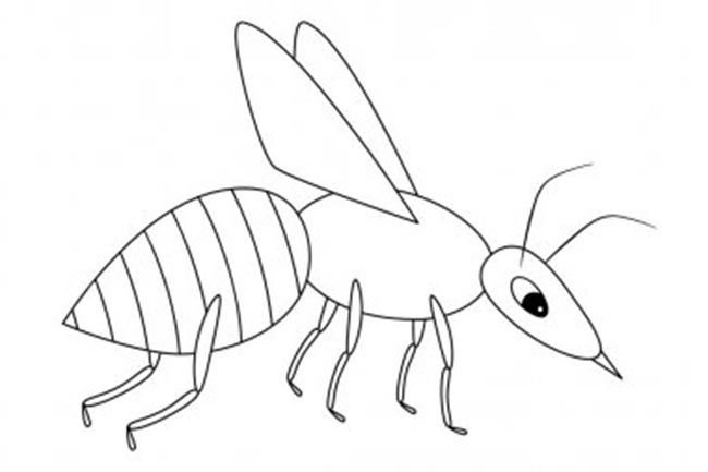 mosquito para imprimir 1 3