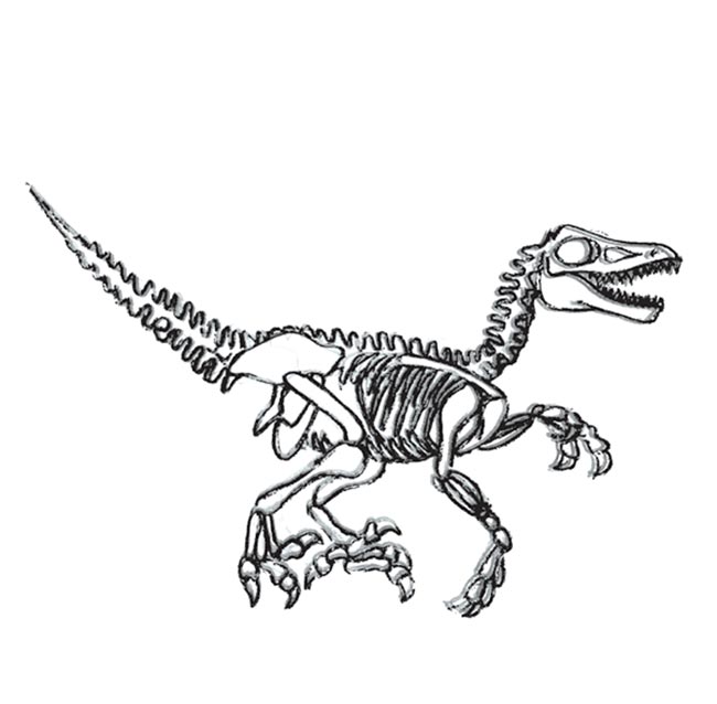 ossos 2 animais pré históricos para colorir