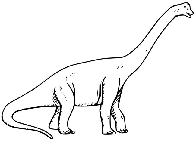 25+ Desenhos de Braquiossauro para Imprimir e Colorir/Pintar