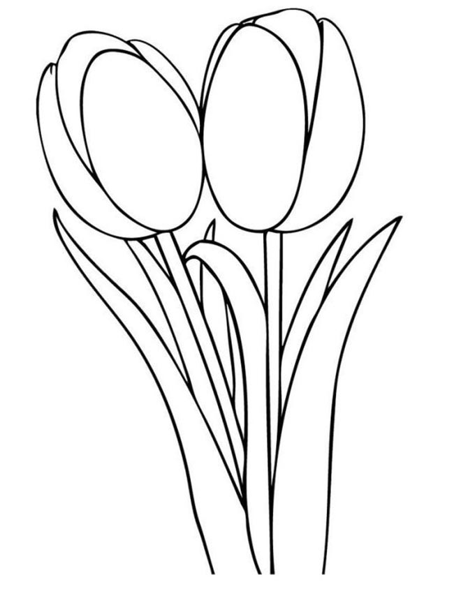 31+ Desenhos de Tulipa (Flores) para Imprimir e Colorir/Pintar