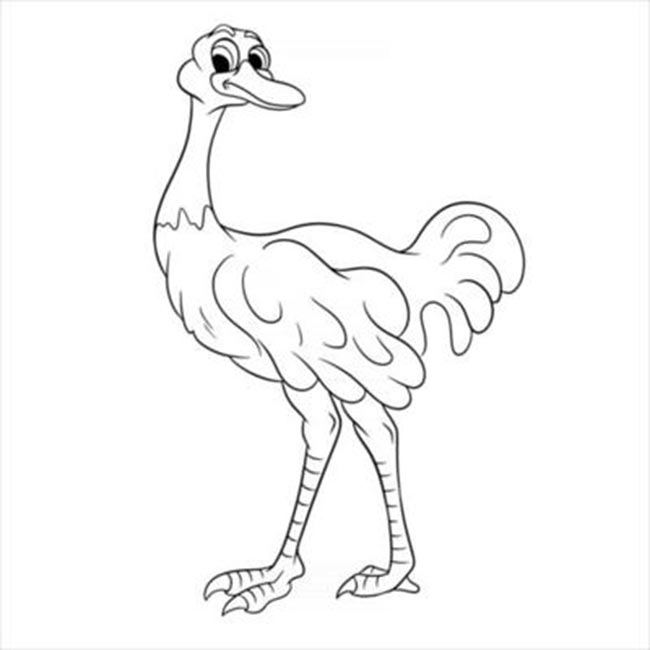 Desenhos de Avestruz para pintar 2
