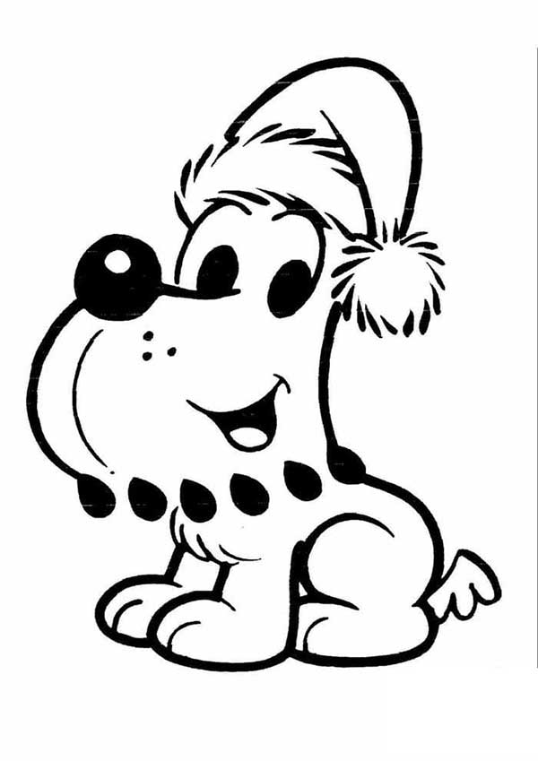 cachorro bidu