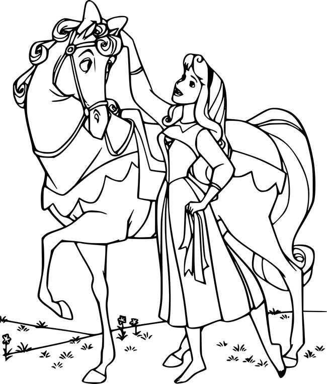 cavalo