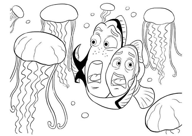 com peixes 2